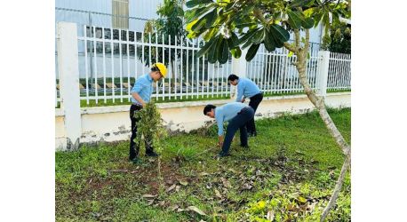 HOẠT ĐỘNG 5S  VÀ TRỒNG CÂY