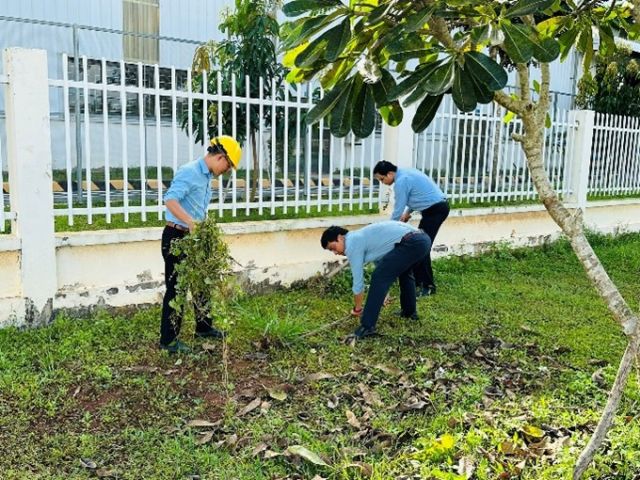 HOẠT ĐỘNG 5S  VÀ TRỒNG CÂY